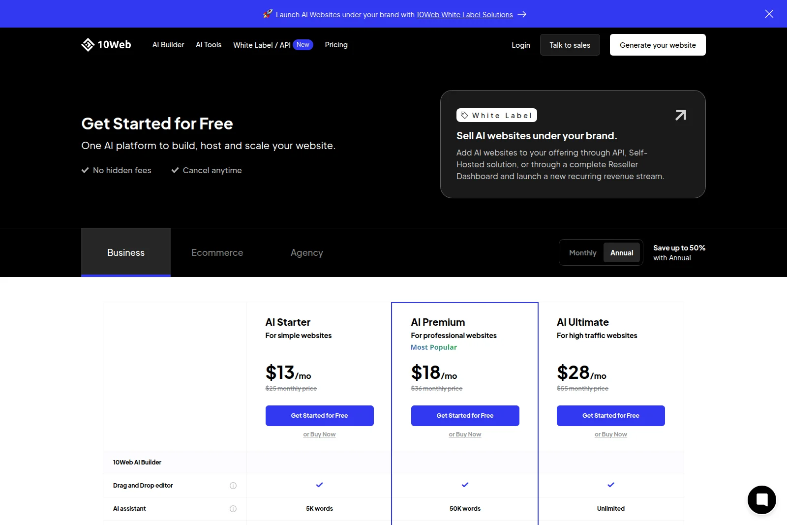 10Web pricing page showing annual subscription plans for AI website builder with dark and light themed sections